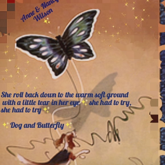 🎨 COMMENTS / BOARD NOTES - Picture 3 of 8